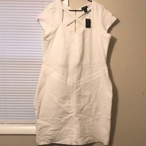 Ashley Stewart White Bandage Bodycon Dress